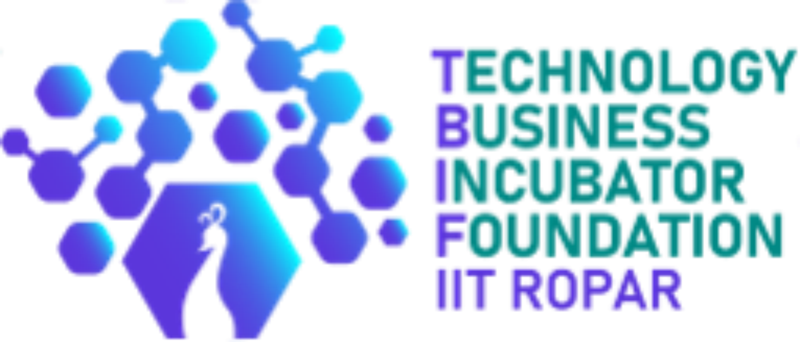 Technology Business Incubator  Foundation, IIT Ropar